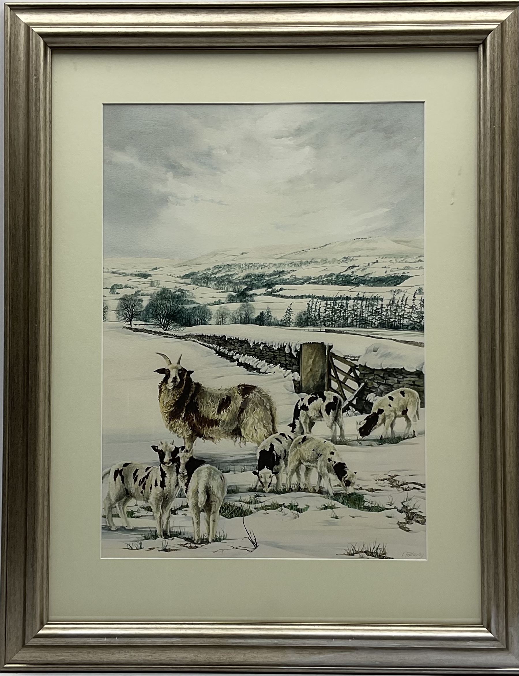 Lesley Fotherby (British 1946-): Jacob Sheep in Winter Dales Landscape, watercolour signed 52cm x 37cm