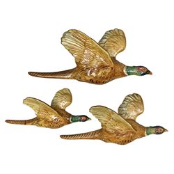 Set of three graduated Beswick Pheasant wall plaques comprising models 661/1, 661/2 and 661/3, all with impressed marks beneath, smallest a/f