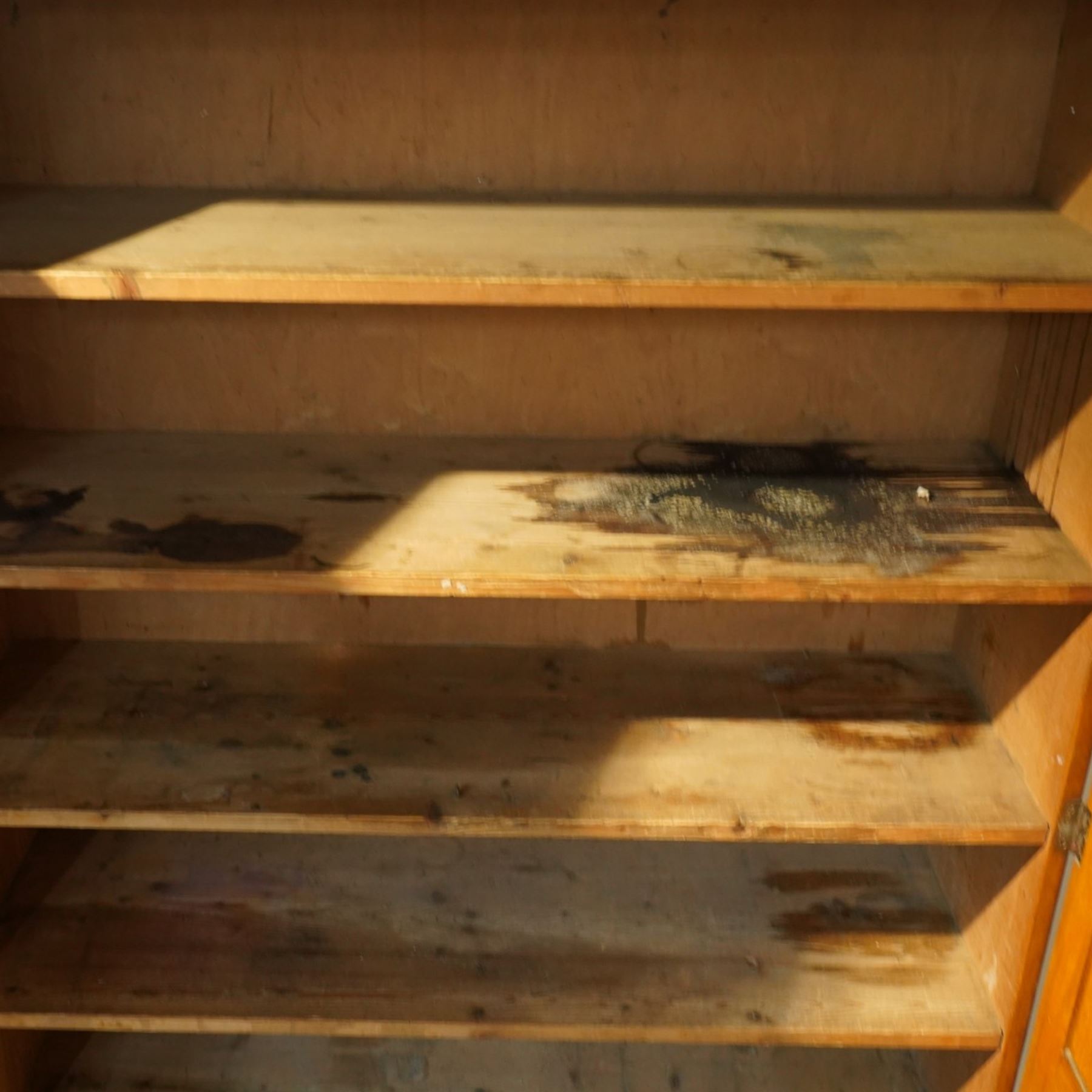 Early 20th century Arts and Crafts oak housekeeper’s cupboard, moulded cornice above pair of panelled doors enclosing a shelved interior, on plinth base