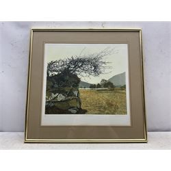 Philip Greenwood (Welsh 1943-): 'Cregennan Lake', artist's proof aquatint signed titled and numbered 5/295 in pencil 36cm x 41cm 