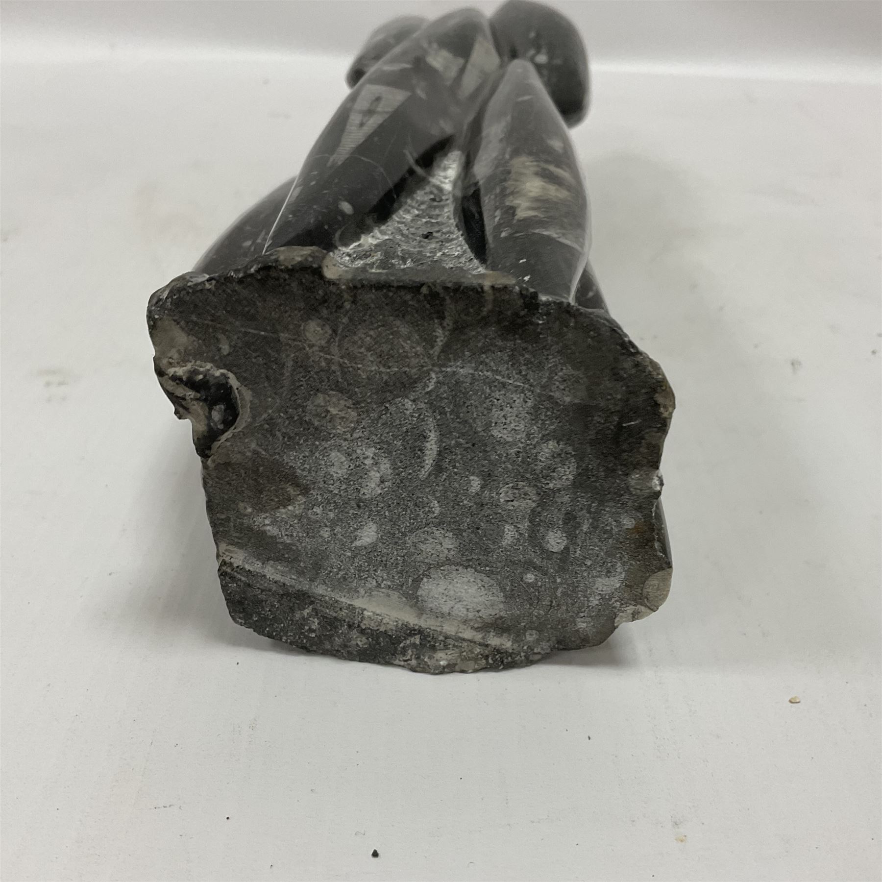 Orthoceras fossil tower, age: Devonian period, location: Morocco, H33cm