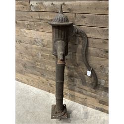 19th century cast iron water pump, lion crest with registration mark