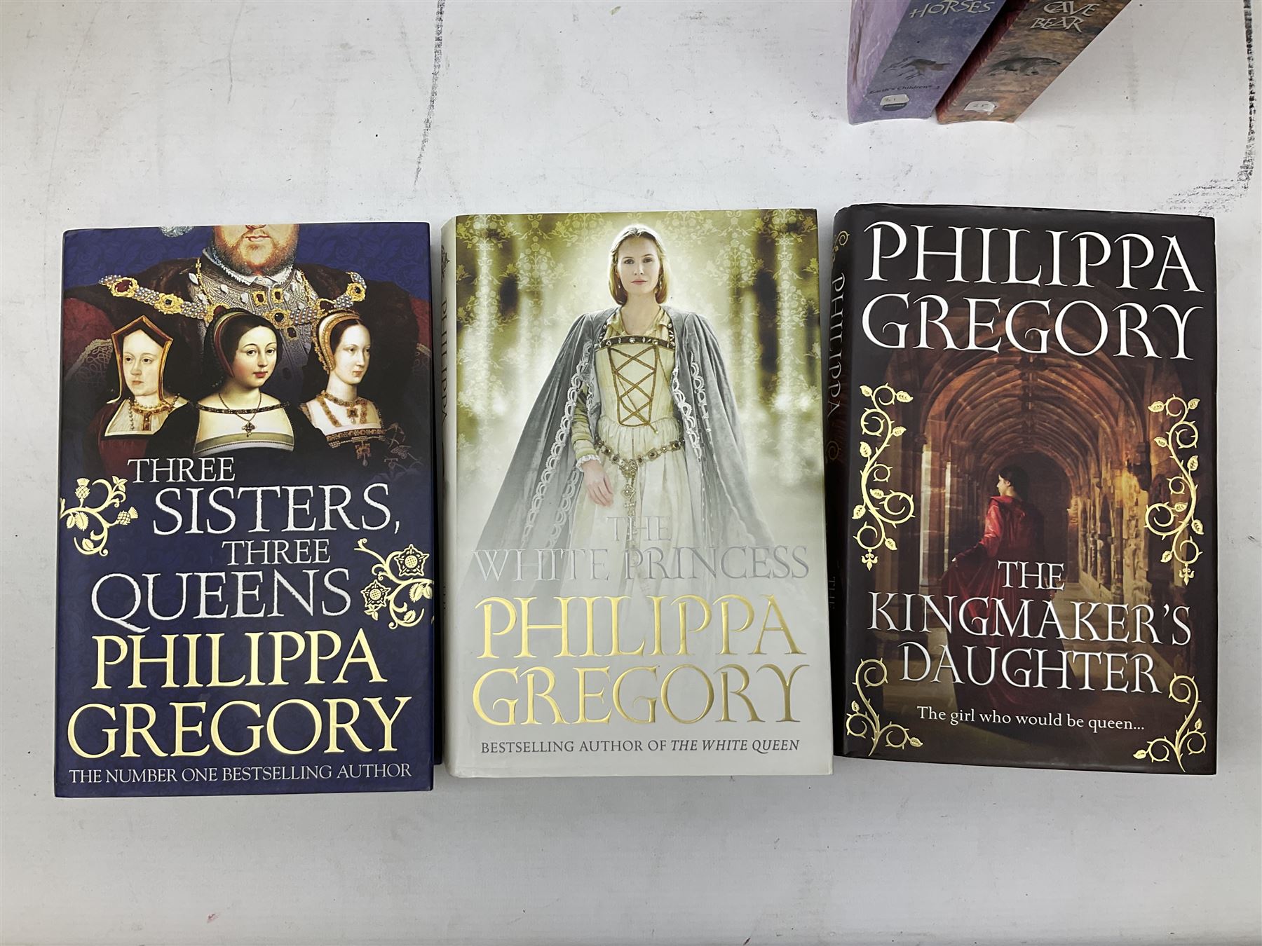 Grafton, Sue: U is for Undertow, P is for Peril and Y is for yesterday, Gregory, Philippa; the last tudor, The White Queen, Lady of the Rivers, The Red Queen, The other Boleyn Girl etc and other similar (20)