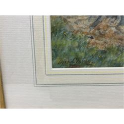 Joseph Dixon Clark (Newcastle 1849-1944): Sheep in Springtime, watercolour signed 25cm x 35cm