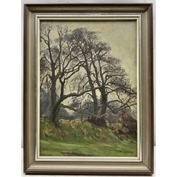Marie Hartley (Yorkshire 1905-2006): 'Winter Trees near Healaugh', oil on canvas signed, titled on printed label verso 35cm x 29cm 