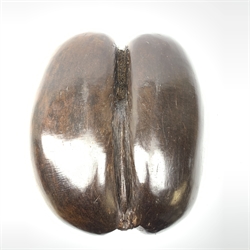  A Coco-de-mer seed (Lodoicea maldivica), carved as a basket, W8cm L31cm.    