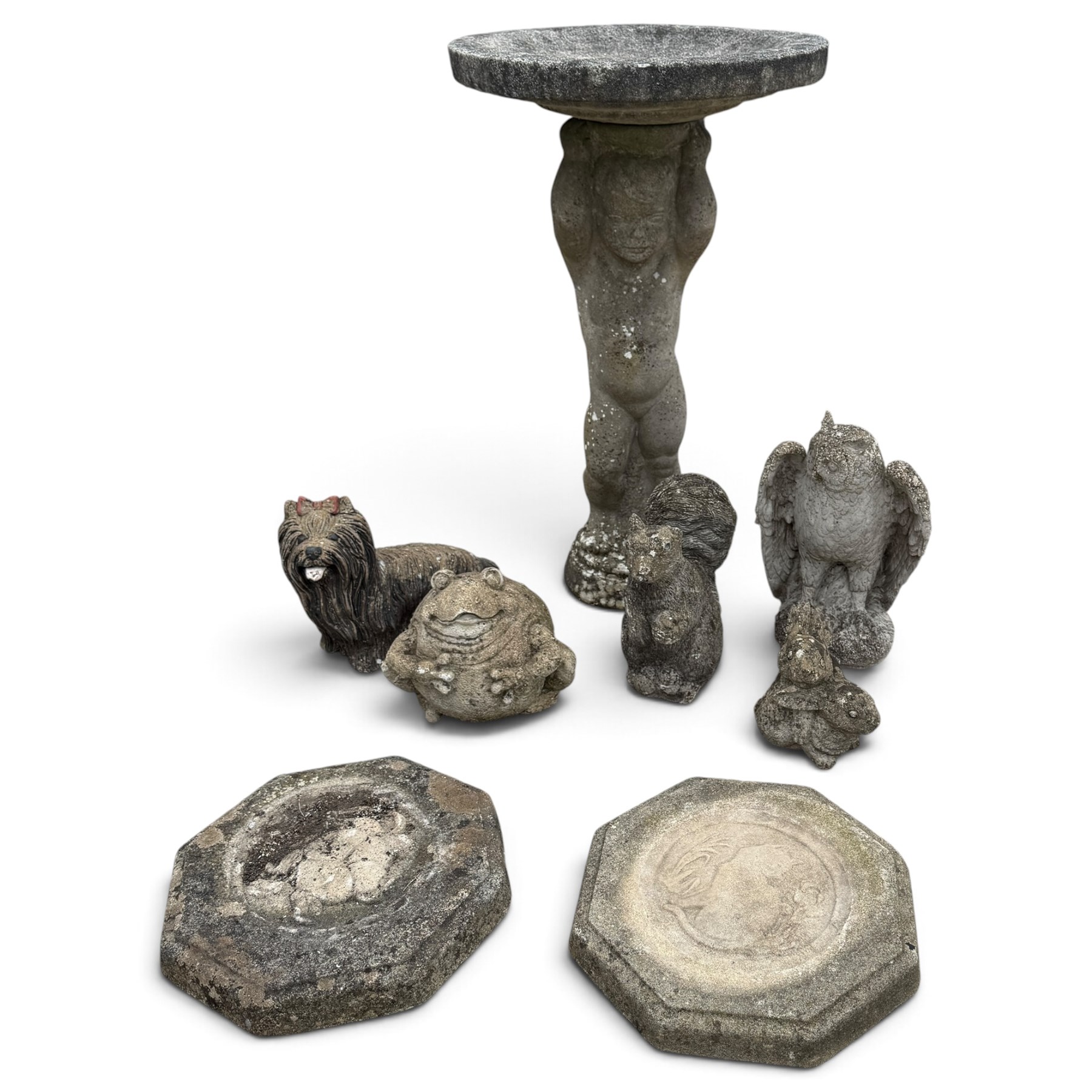 Assorted cast stone garden ornaments, comprising putto bird bath (W43cm H72cm), owl, dog, frog, rabbit and two squirrel figures, with two octagonal relief-moulded stepping stones, one decorated with central cat motif