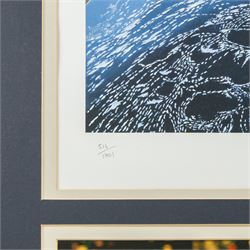 Limited edition Star Wars print 'The Voyage Begins' by Stewart Robinson numbered 516/1701, framed above three signed photographs of William Shatner as Captain James T. Kirk, Leonard Nimoy as Mr Spock and The Star Trek Legendary Four, all with certificates of authenticity verso, frame H109cm, W90cm