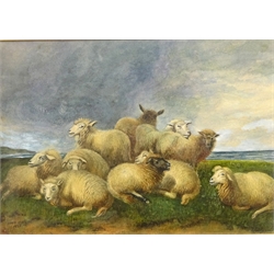  Flock of Sheep on the Headland, watercolour signed and dated 1925 by John Stelling, 'Burley - Hants, watercolour signed and dated '16 by H J Anderson and Rural Landscape, indistinctly signed  27cm x 36cm (3)  