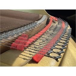 Yamaha - Baby Grand (5' 3