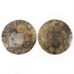 Pair of polished ammonite plates, formed of individual ammonites age; Jurassic period, D18cm