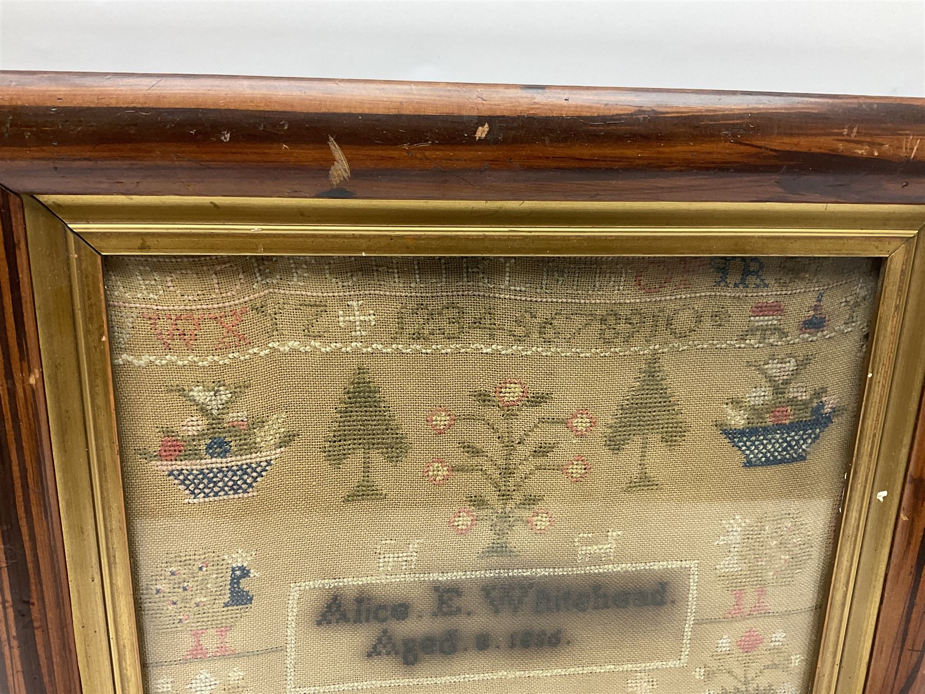 Victorian needlework sampler, depicting cat, peacock, tree and plant motifs, with a band of alphabet and numbers above, worked by Alice E Whitehead, aged eight years, dated 1886, framed, H40cm