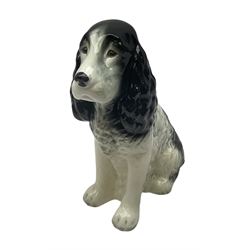 Sylvac fire-side figure of a black and white glazed spaniel dog No.1462 H28cm