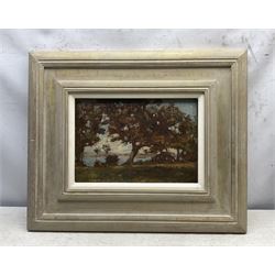 English Impressionist School (19th/20th Century): Autumn Trees on the Harbourside, oil on panel unsigned 23.5cm x 34.5cm 