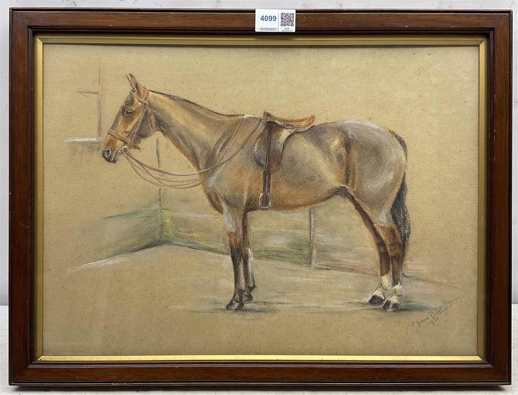 C Joane Bastard (20th century): Horse Portrait, pastel signed and dated 1931, 30cm x 42cm
