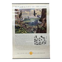 Collection thirty seven vintage county guide posters produced by Shell, H76cm, W51cm