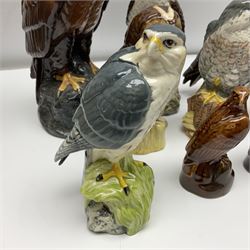 Collection of Beswick and Royal Doulton whisky decanters, in the form of birds, to include Golden Eagle, Barn Owl, Peregrine Falcon, Buzzard etc 