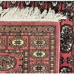 Small peach ground Bokhara rug, decorated with two rows of Gul motifs 