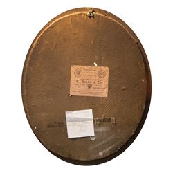 Taxidermy: Pair of Victorian wall mounted kingfisher (Alcedinidae) dioramas by Allen & Co, York, each with two Kingfishers in a naturalistic setting upon a pained back drop, behind convex glass with an ebonised oval frame, with taxidermist paper label verso detailed E Allen & Co No 20 Stonegate York, H58cm