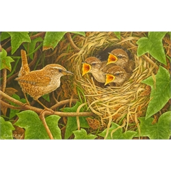  Robert E Fuller (British 1972-): 'Wren and Chicks', oil on board signed and dated 2013, 19cm x 29cm Provenance: from a single owner collection purchased from the Robert Fuller Gallery between 2006 and 2014  DDS - Artist's resale rights may apply to this lot   