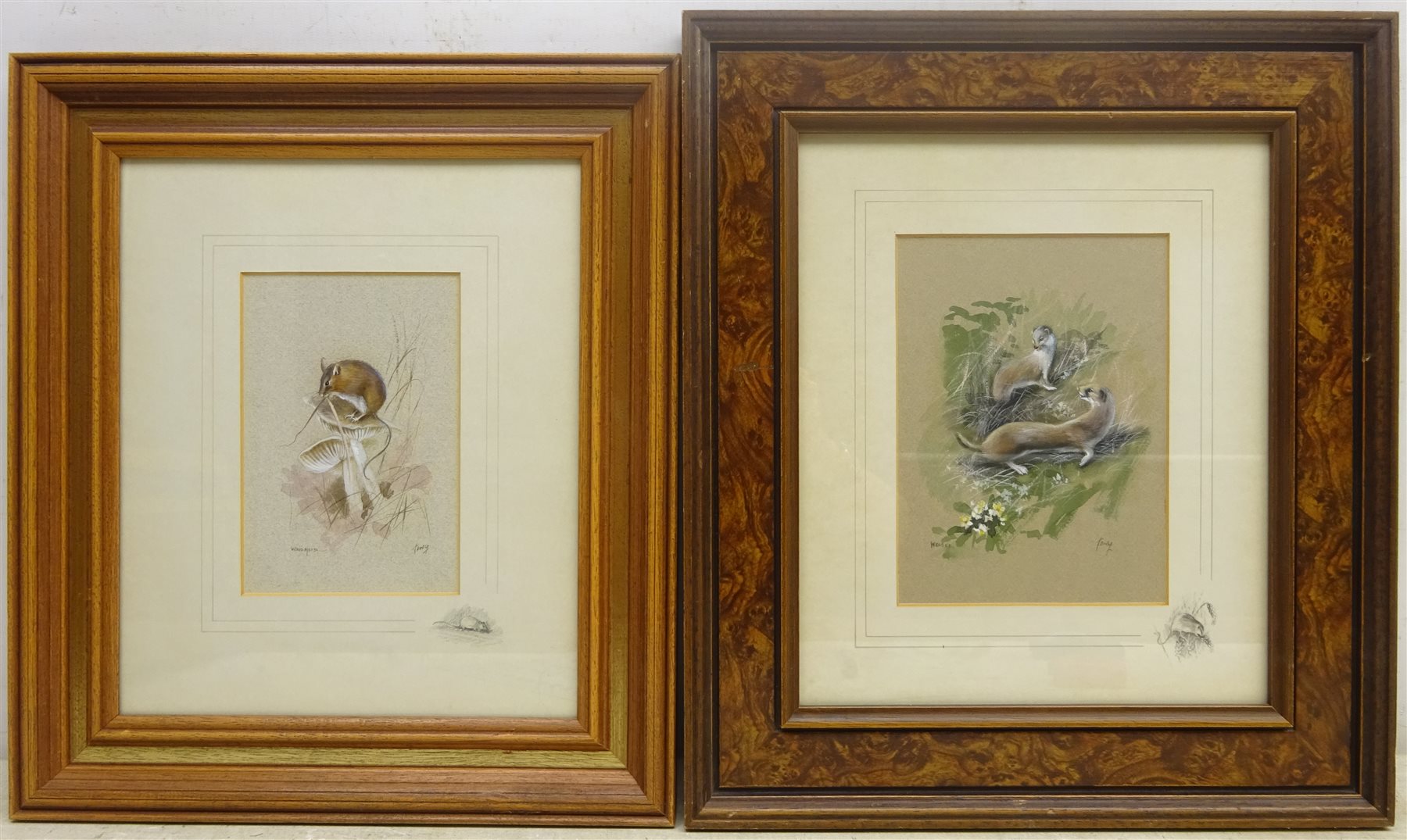 Keith Tovey (British 1932-2008): 'Weasel' and 'Wood Mouse', two watercolours signed and titled 19cm x 13.5cm and 16.5cm x 11cm (2)