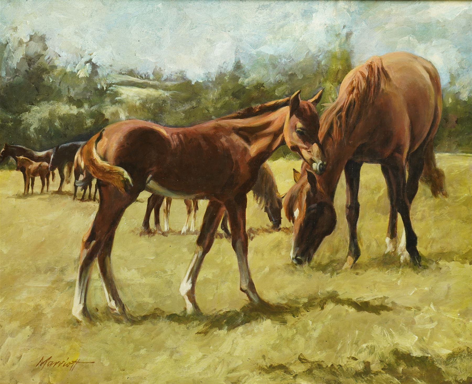 Samuel 'Sam' Marriott (British 1932-1997): Mare and Foal in Pasture, oil on board signed 40cm x 50cm