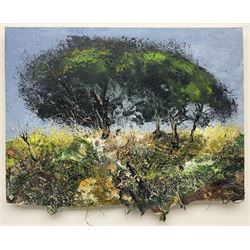 John Thornton (Northern British 1944-): 'Old Hawthorns', mixed media and collage signed with initials, titled verso 29cm x 35cm 