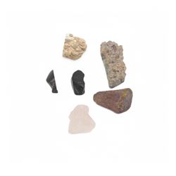 Collection of mineral and fossil specimens, including Trilobite in a matrix, shark tooth, ruby schist etc 