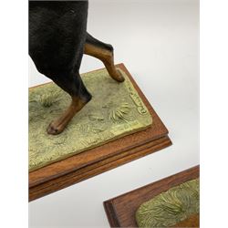 Border Fine Arts Doberman Pinscher, black with brown markings, limited edition 279 of 500 modelled by Elizabeth Waugh, with plinth H20.5cm, together with Border Fine Arts Doberman Pinscher, dark brown with light brown markings, limited edition 297 of 500 modelled by Elizabeth Waugh, with plinth H20.5cm