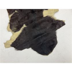 Taxidermy; Goat (Capra aegagrus hircus) pelt and deer (Cervidae) pelt, largest example L127cm