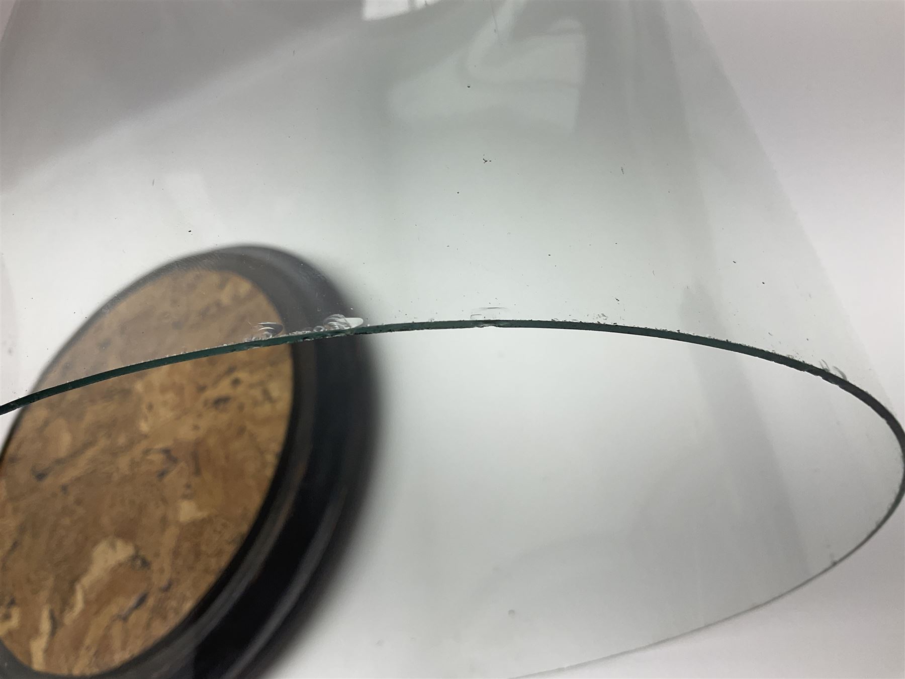 Large glass dome, upon a ebonised circular base, H48cm 