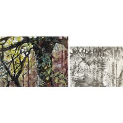 Anna Kirk-Smith (British Contemporary): 'Hoverflies Millington Wood' and River Landscape, two mixed media on paper signed and dated '07 and '06, respectively, one titled verso 31cm x 41cm and 25cm x 32cm (2)