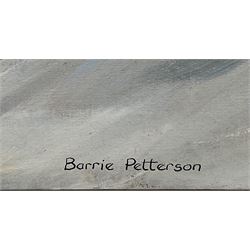 Barrie Petterson (British Contemporary): 'The Climb', acrylic on linen laid on wood signed, titled verso 60cm x 69cm