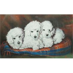 Kenneth Eyre (British 20th Century): Portrait of Dogs on a Tartan Blanket, pastel signed 38cm x 62cm