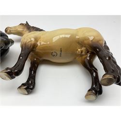 Beswick dun Highland pony no 1644 and piebald Pinto Pony  no 1373, both with printed mark beneath