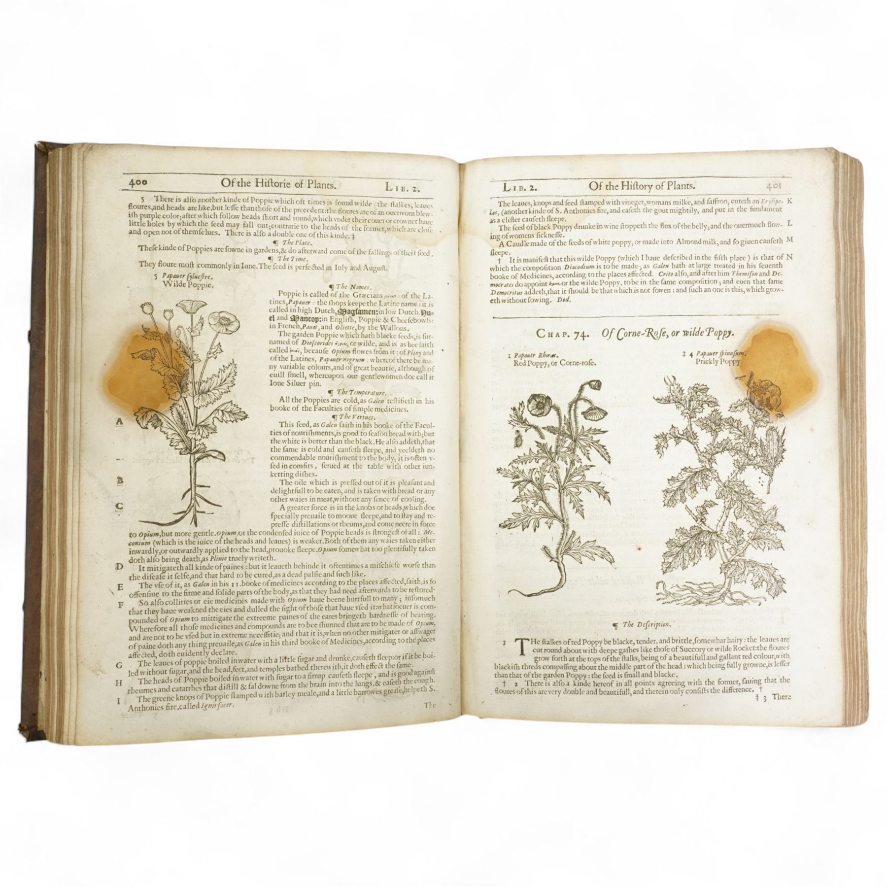 Gerard, John - 'The Herball or General Historie of Plants', enlarged and amended by Thomas Johnson, frontispiece missing, numerous woodcut illustrations, full calf, ribbed spine inscibed 'Gerards Botany', bookplate of F.J.Cornish-Bowden, Black Hall