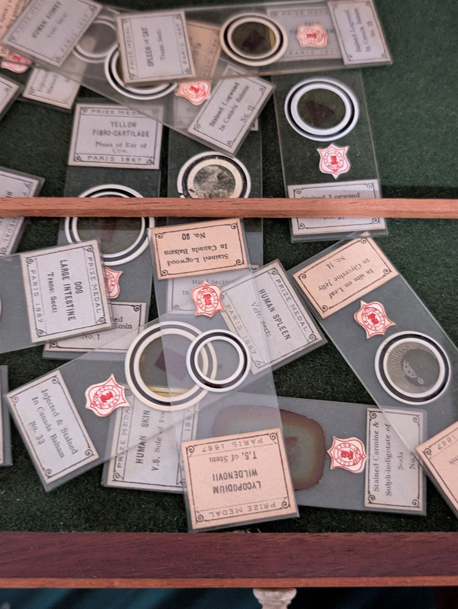 Victorian collector's specimen cabinet, containing a number of prepared microscope slides including miniature photographs, animal and human pathological, physiological and histological specimens and botanical specimens, mostly annotated in ink, the cabinet with glazed door, the drawers with bone handles and lined with green felt, owned by Dr Arthur Bristow, together with a picture of the doctor, cabinet H43cm