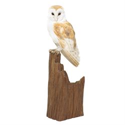 Taxidermy - European Brown Owl (Tyto alba), by Sarah Lancaster taxidermy, full adult mount with head turning to the left, perched atop a wooden stump, overall H57cm
With CITES Article 10 (non-transferable) licence no. 26GBA10ZJJFU2 - RTA