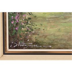 Jim Sturgeon (Scottish 1932-2005): 'Brighouse Bay', oil on canvas board signed, titled on label verso 24cm x 34cm 