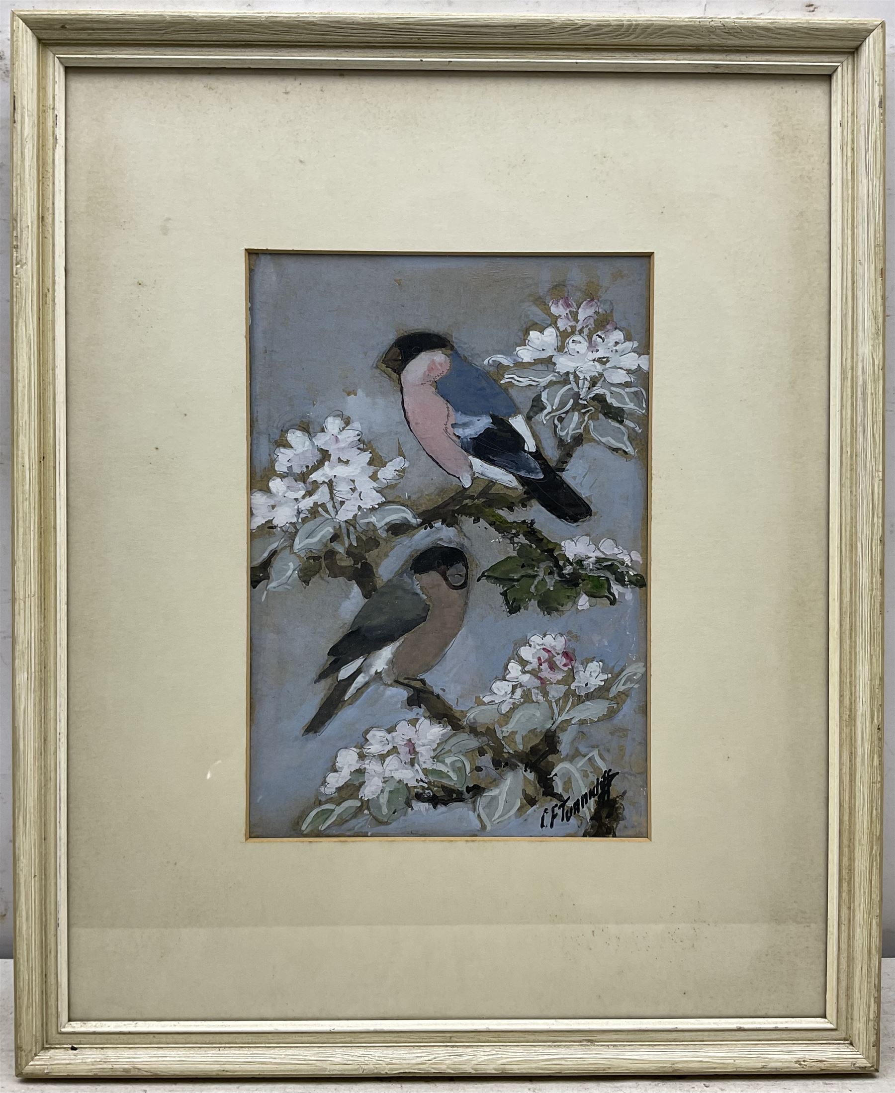 Charles Frederick Tunnicliffe (British 1901-1979): Bullfinches, gouache signed, titled on Welsh Arts Council label verso 31cm x 21cm