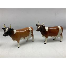 Five Beswick figures of cattle Comprising Ayrshire Bull Ch Whitehill Mandate, no 1454B, three Ayrshire Cow Ch Ickham Bessie, no 1350 and Ayrshire Calf, no 1249B, all with printed marks beneath