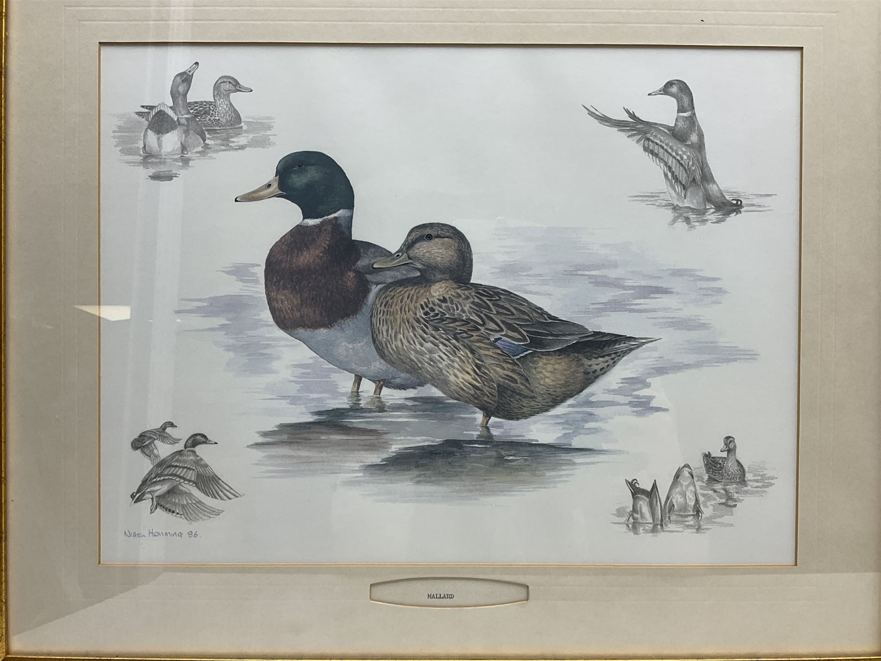 After Alan Ellison, limited edition colour print 'Working Springers' no.178/750 signed on the mount 43 x 59cm; and seven colour prints after Nigel Hemming of game birds and gun dogs; all framed (8)