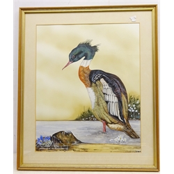  'Red Breasted Merganser', 20th century watercolour signed titled and dated '83 by R. Lawrence 47cm x 39cm and two other Bird prints (3)  
