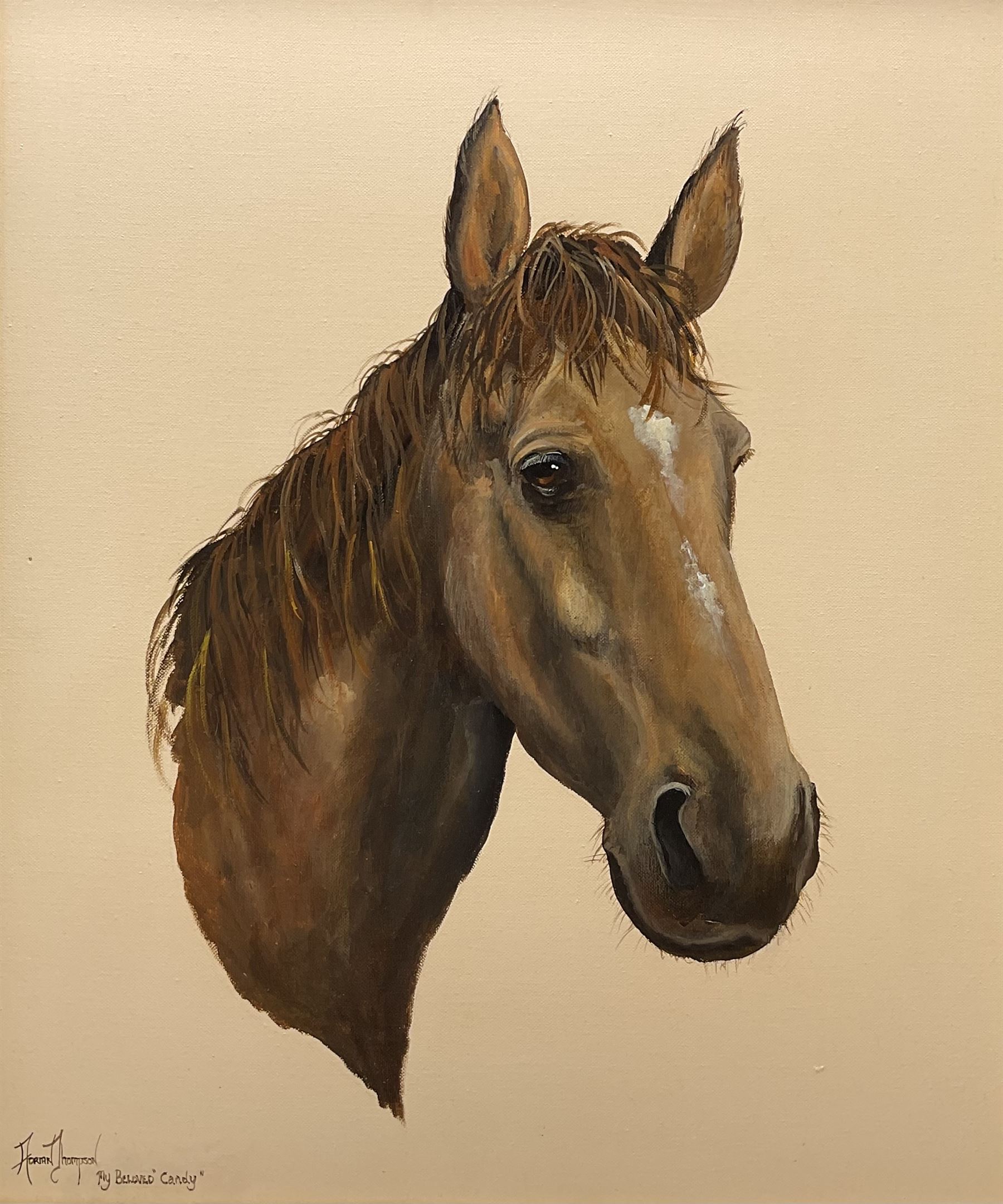 Adrian Thompson (British 1960-): My Beloved 'Candy' - Portrait of a Horse, oil on canvas signed and titled 60cm x 50cm