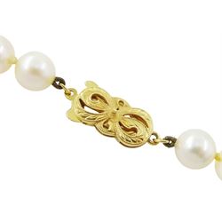 Mikimoto single strand cultured white pearl necklace, with 18ct gold clasp, stamped 750, boxed with certificate dated 1983