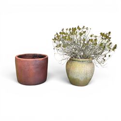 Large terracotta circular planter, oval form with ribbed top, planted; and an Errington Re...