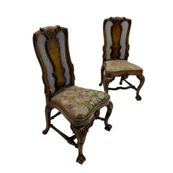 Pair of early 20th century Queen Anne design chairs, the cresting rail carved with scroll and central shell motif, shaped uprights and splat encased in cane work panels, shaped moulded seat frame with shell motif, floral needlework upholstered drop-in seat cushion, on shell carved cabriole supports with ball and claw feet, united by turned and shaped middle stretcher carved with acanthus leaf