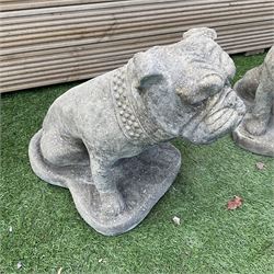 Pair of cast stone garden bulldogs, H40, D25, W45 - THIS LOT IS TO BE COLLECTED BY APPOINTMENT FROM DUGGLEBY STORAGE, GREAT HILL, EASTFIELD, SCARBOROUGH, YO11 3TX
