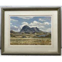 John Fielder (British 1960-): The Forest and the Hills, four watercolours signed max 36cm x 51cm (4)