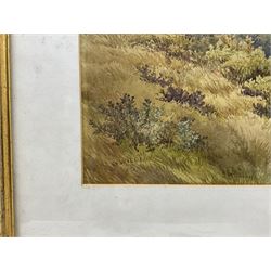 William Wilde (British 1826-1901): View of Scarborough, watercolour signed and dated '78, 34cm x 49cm 